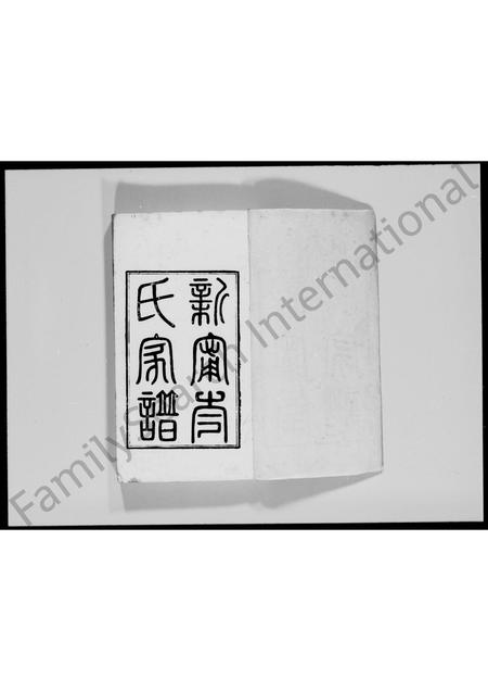 广东岑氏族谱-新宁岑氏家谱 [2卷].pdf电子版插图3