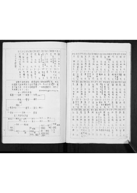 广东陈氏族谱-陈氏族谱[不分卷].pdf电子版插图3