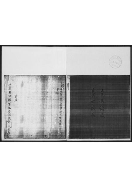 福建许氏族谱-[许氏]新里五房强公派下仙养公家谱.pdf电子版插图3