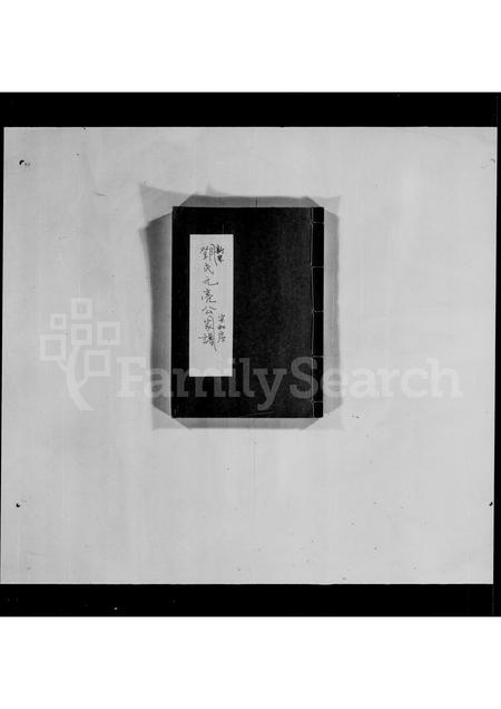 广东邓氏族谱-新界邓氏元亮公宗和房家谱.pdf电子版插图3 广东邓氏族谱-新界邓氏元亮公宗和房家谱.pdf电子版插图3