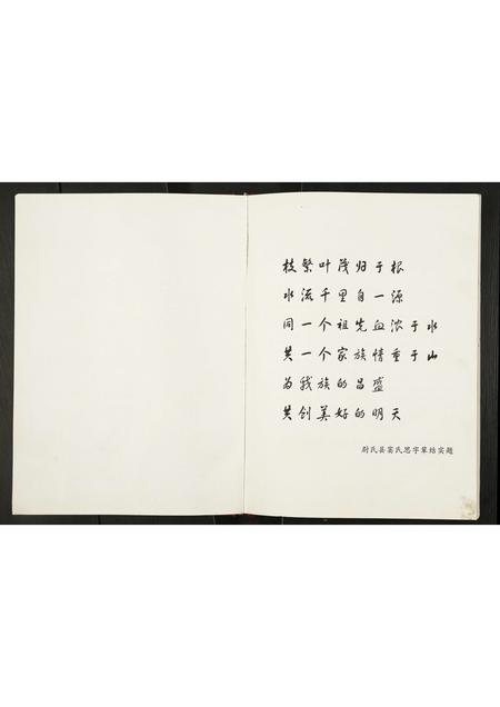 河南窦氏族谱-窦氏家谱.pdf电子版插图3