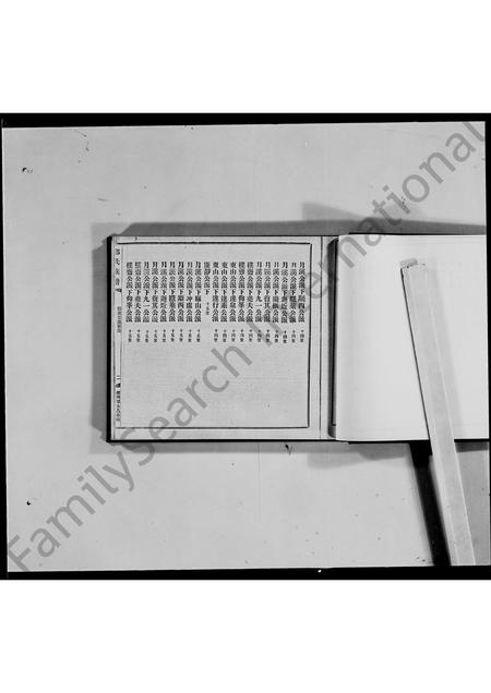 广东郭氏族谱-大埔郭氏族谱 [2卷].pdf电子版插图3