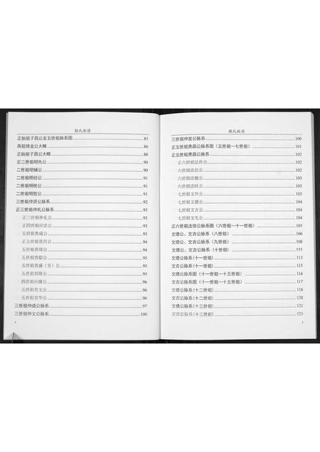 广东骆氏族谱-骆氏族谱[不分卷].pdf电子版插图3