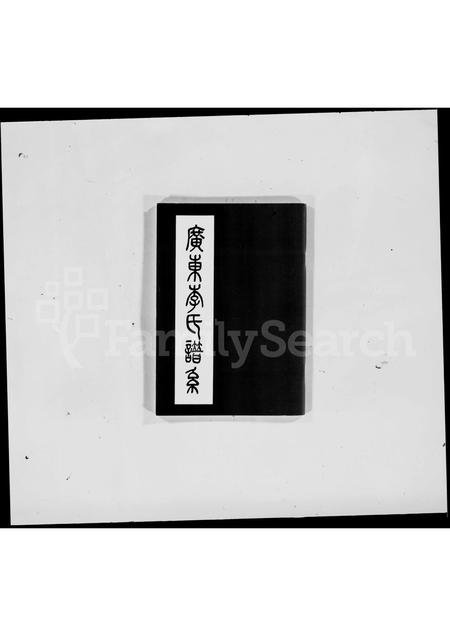 广东李氏族谱-广东李氏谱系.pdf电子版插图3