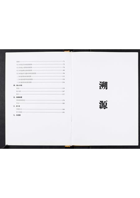 河南李氏族谱-周沟李氏家谱.pdf电子版插图3