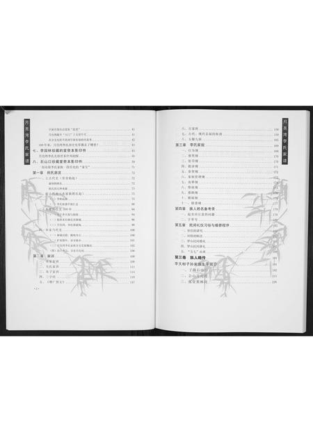 河南李氏族谱-月亮湾李氏家谱.pdf电子版插图3