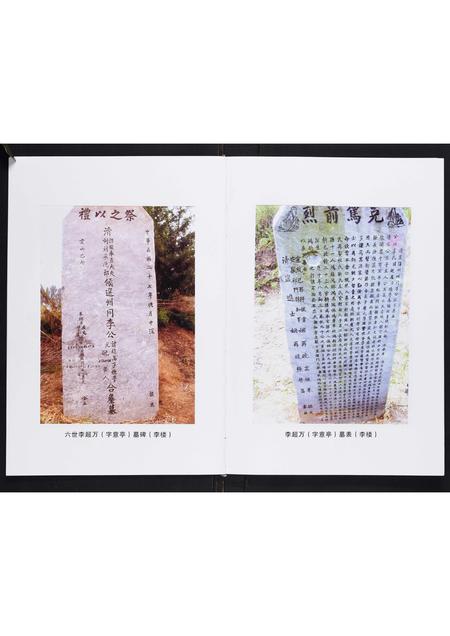 河南李氏族谱-李氏家谱[不分卷].pdf电子版插图3