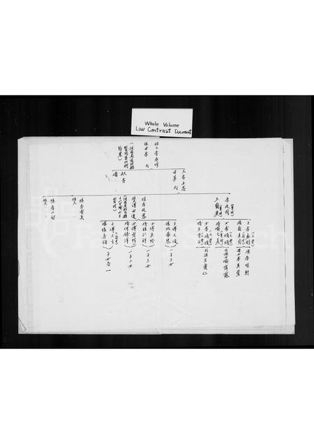 河南李氏族谱-[李氏世系图].pdf电子版插图3