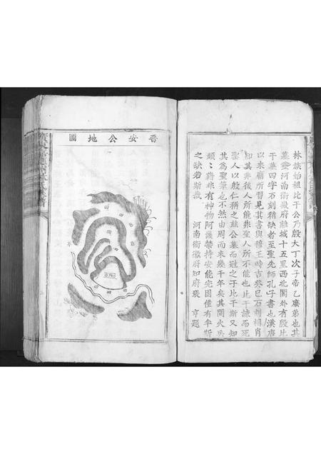 广东林氏族谱-广东嘉应州林氏族谱[不分卷].pdf电子版插图3