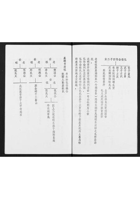 广东林氏族谱-林氏元丰家谱.pdf电子版插图3