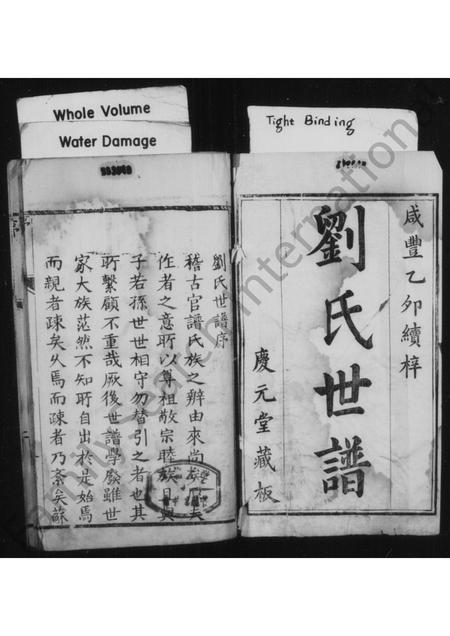 河南刘氏族谱-刘氏世谱 [4卷].pdf电子版插图3