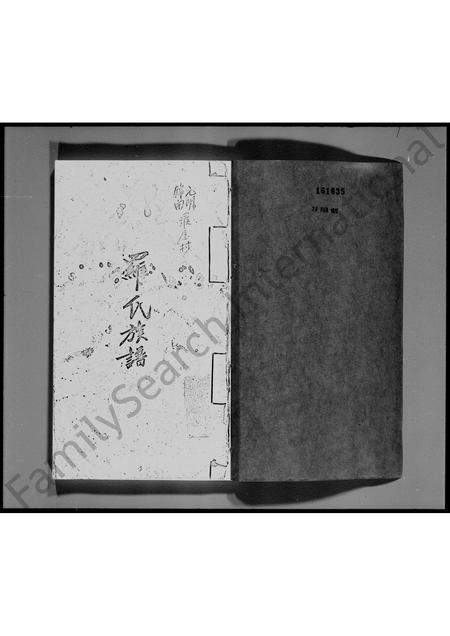 广东罗氏族谱-宝安县锦田横台山罗氏族谱.pdf电子版插图3