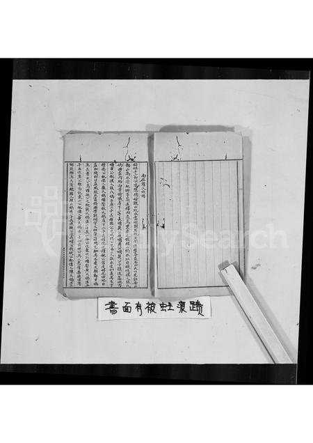 广东罗氏族谱-普宁南径罗氏族谱.pdf电子版插图3