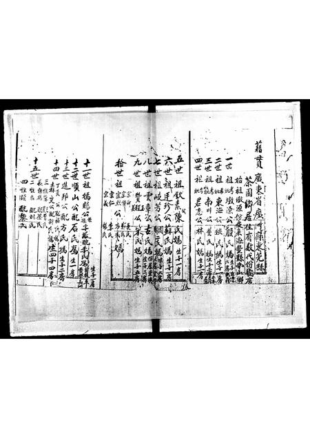 广东罗氏族谱-长洲罗氏族谱.pdf电子版插图3