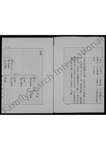 广东马氏族谱-[马氏]父系家族族谱.pdf电子版插图3
