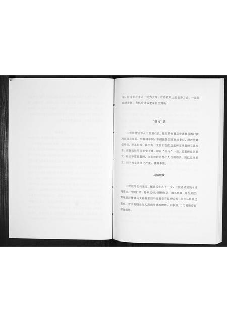 河南马氏族谱-开濮曹徐马氏家族轶事[不分卷].pdf电子版插图3