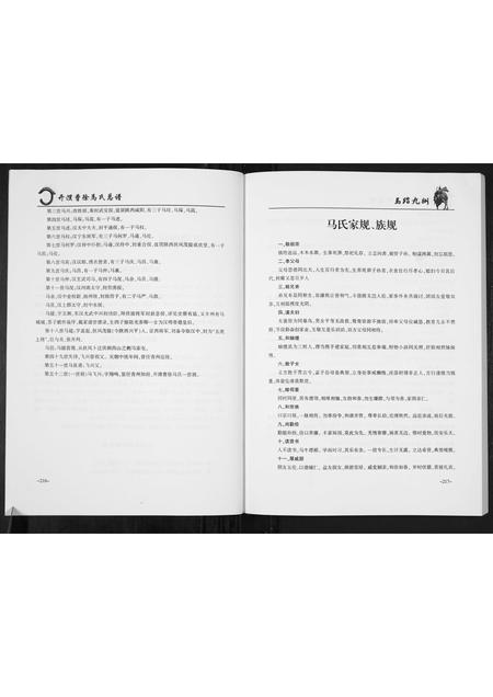 河南马氏族谱-开濮曹徐马氏家谱.pdf电子版插图3