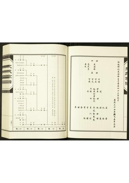 河南史氏族谱-史氏宗谱.pdf电子版插图3