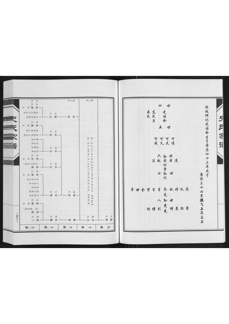 河南史氏族谱-史氏家谱[不分卷].pdf电子版插图3