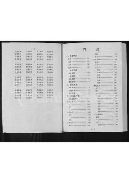 河南宋氏族谱-宋氏云族世谱.pdf电子版插图3