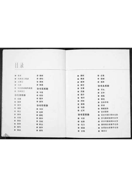 河南孙氏族谱-孙氏家谱.pdf电子版插图3