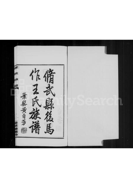 河南王氏族谱-修武后马作王氏族谱 [4卷].pdf电子版插图3