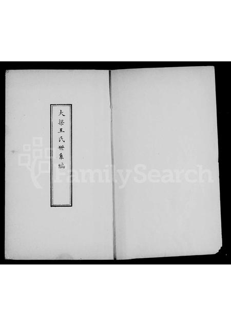 河南王氏族谱-大梁王氏宗谱 [1卷].pdf电子版插图3