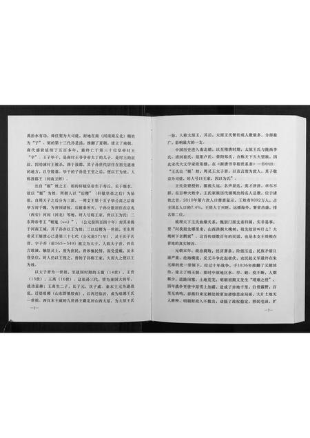 河南王氏族谱-王氏家谱.pdf电子版插图3