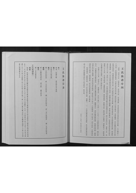 河南王氏族谱-王氏族谱.pdf电子版插图3