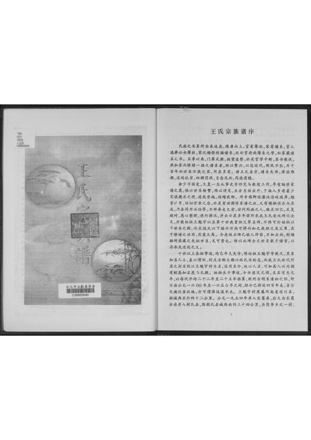 河南王氏族谱-王魁宇.王氏宗族谱.pdf电子版插图3 河南王氏族谱-王魁宇.王氏宗族谱.pdf电子版插图3