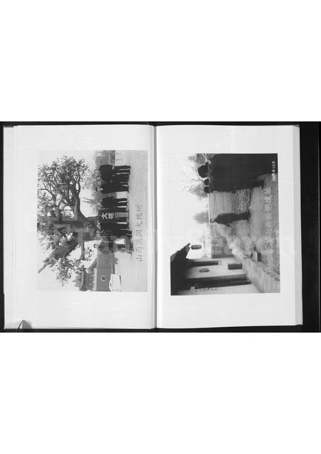 河南王氏族谱-王氏家谱 [不分卷].pdf电子版插图3