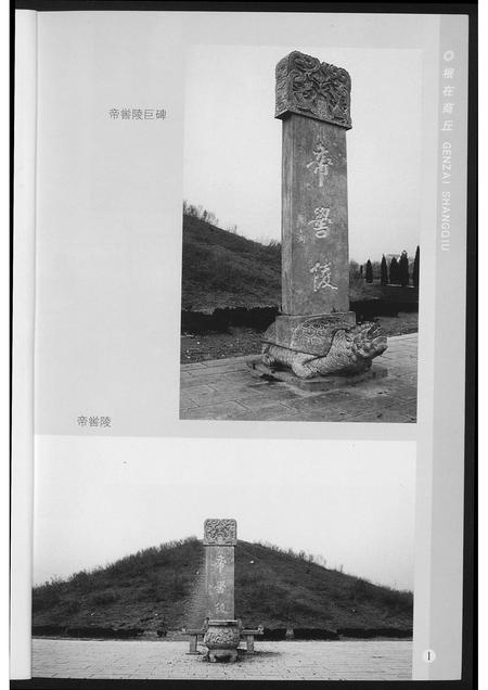 河南未知族谱-根在商丘.pdf电子版插图3