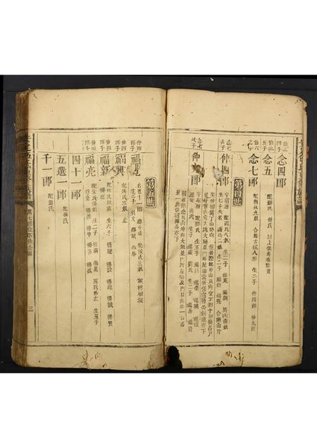 广东伍氏族谱-安定伍氏重修族谱.pdf电子版插图3