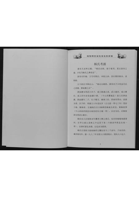 广东杨氏族谱-揭阳杨财合达濠派系家谱[不分卷].pdf电子版插图3