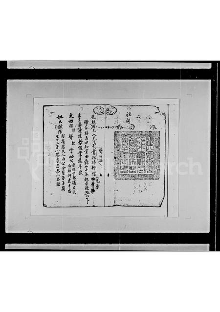 广东杨氏族谱-荃湾油金头村杨姓族部[谱].pdf电子版插图3