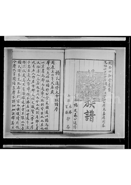 广东杨氏族谱-杨氏族谱.pdf电子版插图3