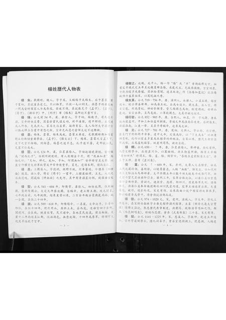 河南杨氏族谱-杨珍宗族世系家牒.pdf电子版插图3
