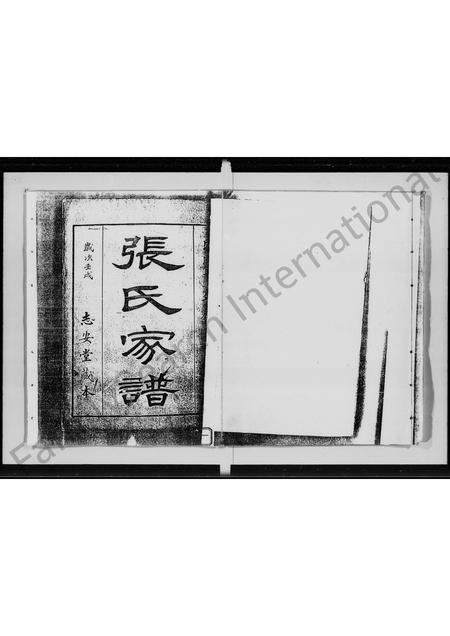 广东张氏族谱-张氏家谱.pdf电子版插图3