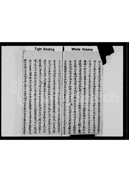 广东张氏族谱-宝安县新界八乡上輋村张氏族谱重新续订.pdf电子版插图3