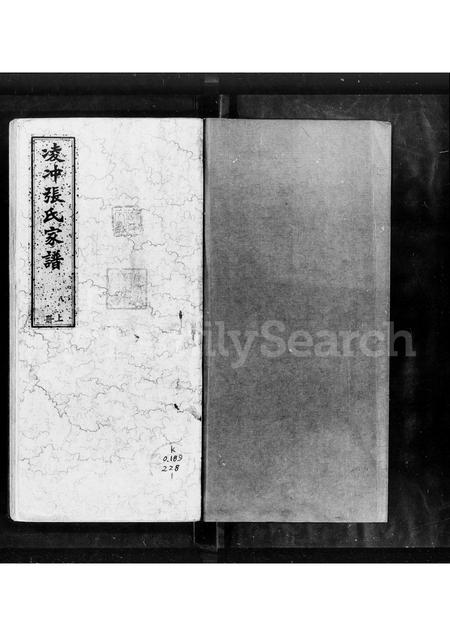 广东张氏族谱-凌冲张氏家谱.pdf电子版插图3