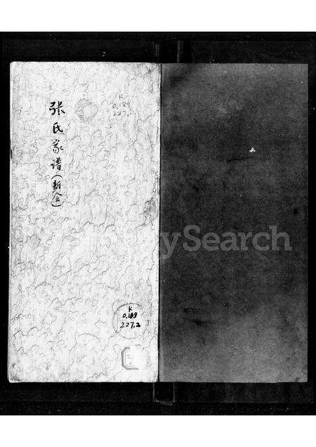 广东张氏族谱-张氏家谱.pdf电子版插图3
