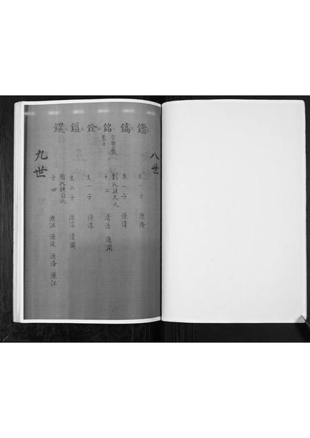 河南张氏族谱-张氏家谱.pdf电子版插图3 河南张氏族谱-张氏家谱.pdf电子版插图3