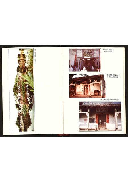 广东植氏族谱-植氏族谱.pdf电子版插图3