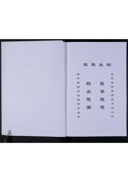 河南戴氏族谱-鹿邑淮阳戴氏族谱.pdf电子版插图3