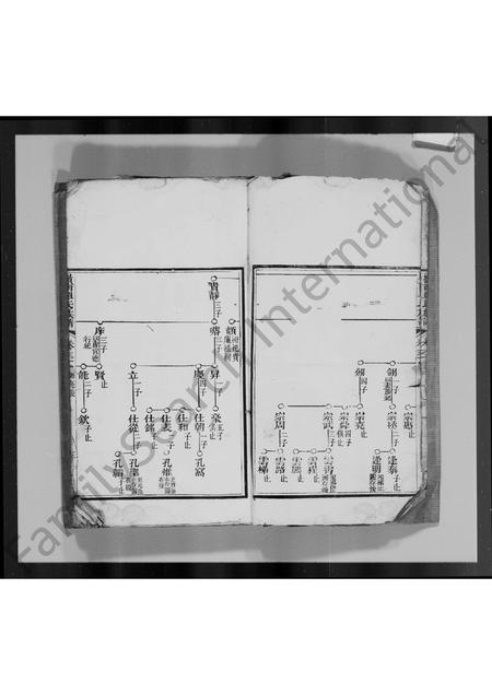 广东单氏族谱-岭南单氏十修族谱 [残卷].pdf电子版插图3