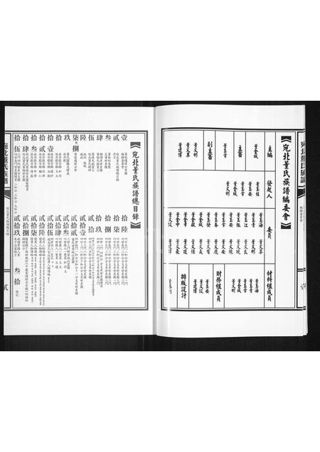 河南董氏族谱-河南宛北董氏族谱.pdf电子版插图3