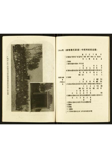 河南惠氏族谱-惠氏族谱续录 [不分卷].pdf电子版插图3
