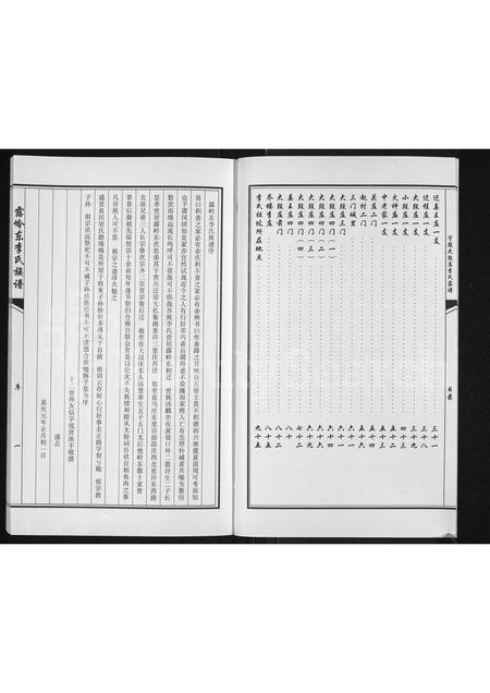 河南李氏族谱-露岭东李氏族谱.pdf电子版插图3