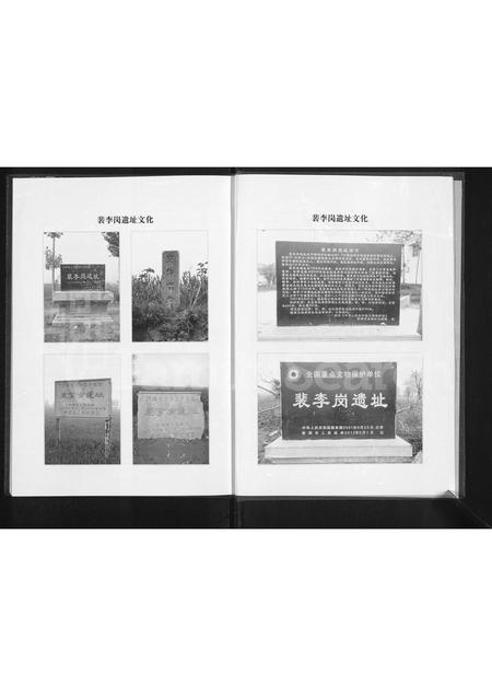河南李氏族谱-李氏家谱 _ 河南省新郑市裴李岗.pdf电子版插图3