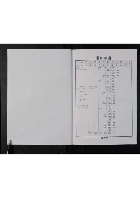 河南娄氏族谱-娄氏族谱 _ 二门.pdf电子版插图3